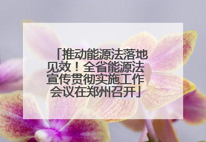 推动能源法落地见效！全省能源法宣传贯彻实施工作会议在郑州召开