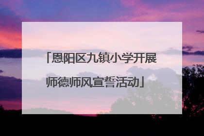 恩阳区九镇小学开展师德师风宣誓活动