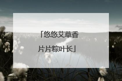 悠悠艾草香 片片粽叶长