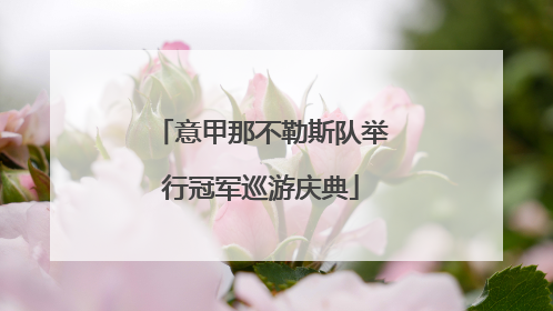 意甲那不勒斯队举行冠军巡游庆典