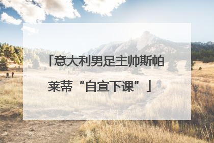 意大利男足主帅斯帕莱蒂“自宣下课”