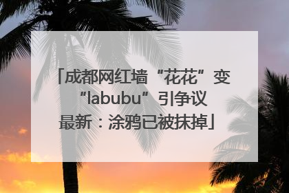 成都网红墙“花花”变“labubu”引争议 最新：涂鸦已被抹掉