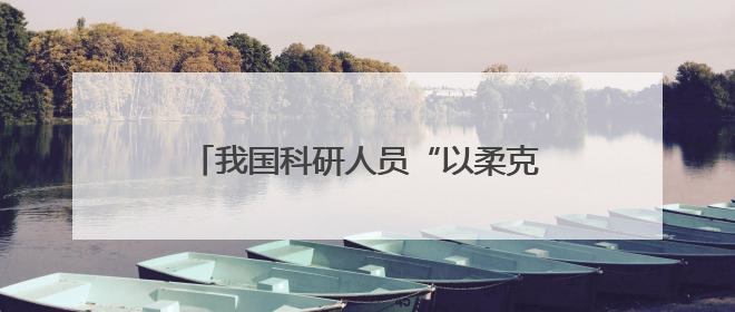 我国科研人员“以柔克刚”填补微型LED晶圆无损测试技术空白