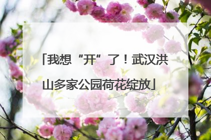 我想“开”了！武汉洪山多家公园荷花绽放