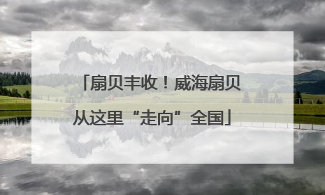 扇贝丰收！威海扇贝从这里“走向”全国