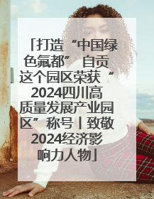 打造“中国绿色氟都” 自贡这个园区荣获“2024四川高质量发展产业园区”称号丨致敬2024经济影响力人物