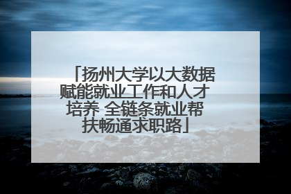 扬州大学以大数据赋能就业工作和人才培养 全链条就业帮扶畅通求职路