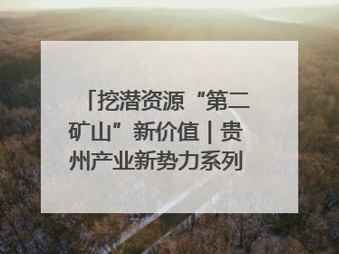 挖潜资源“第二矿山”新价值｜贵州产业新势力系列报道之十四