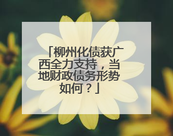 柳州化债获广西全力支持，当地财政债务形势如何？