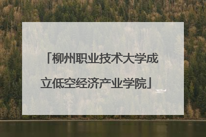 柳州职业技术大学成立低空经济产业学院
