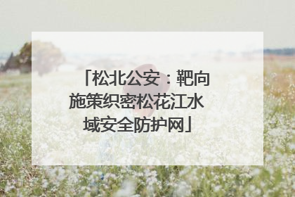 松北公安：靶向施策织密松花江水域安全防护网