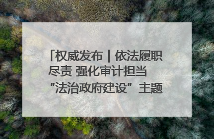 权威发布｜依法履职尽责 强化审计担当 “法治政府建设”主题系列新闻发布会市审计局专场召开