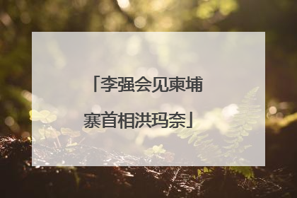 李强会见柬埔寨首相洪玛奈