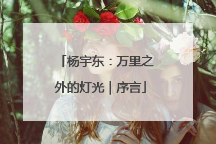 杨宇东：万里之外的灯光｜序言