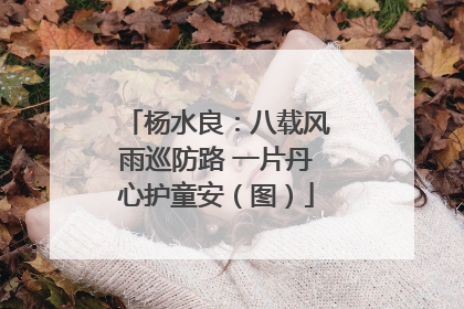杨水良：八载风雨巡防路 一片丹心护童安（图）