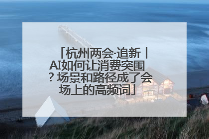 杭州两会·追新丨AI如何让消费突围？场景和路径成了会场上的高频词