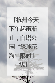杭州今天下午起雨渐止，白塔公园“绣球花海”限时上线
