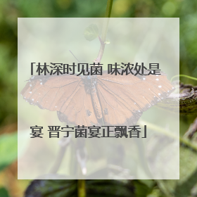 林深时见菌 味浓处是宴 晋宁菌宴正飘香