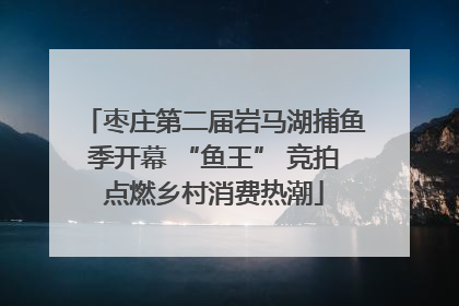 枣庄第二届岩马湖捕鱼季开幕 “鱼王” 竞拍点燃乡村消费热潮