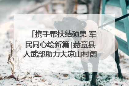 携手帮扶结硕果 军民同心绘新篇∣赫章县人武部助力大凉山村阔步乡村振兴路