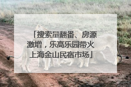 搜索量翻番、房源激增，乐高乐园带火上海金山民宿市场
