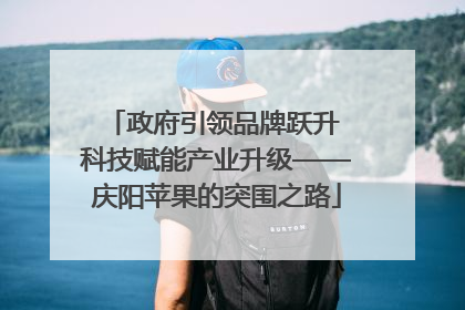 政府引领品牌跃升 科技赋能产业升级——庆阳苹果的突围之路