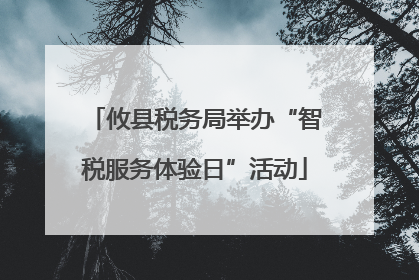 攸县税务局举办“智税服务体验日”活动