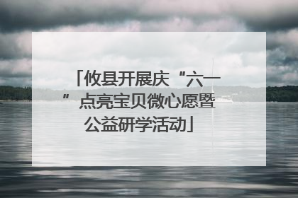 攸县开展庆“六一”点亮宝贝微心愿暨公益研学活动