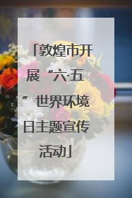 敦煌市开展“六·五”世界环境日主题宣传活动