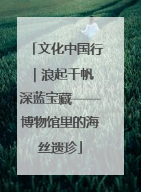 文化中国行｜浪起千帆 深蓝宝藏——博物馆里的海丝遗珍