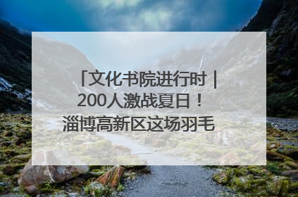 文化书院进行时｜200人激战夏日！淄博高新区这场羽毛球比赛太酷