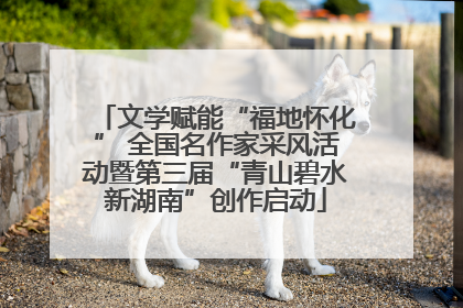 文学赋能“福地怀化” 全国名作家采风活动暨第三届“青山碧水新湖南”创作启动