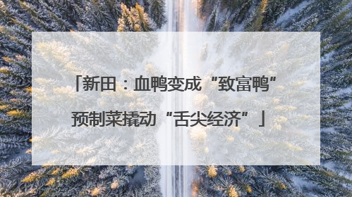 新田：血鸭变成“致富鸭” 预制菜撬动“舌尖经济”