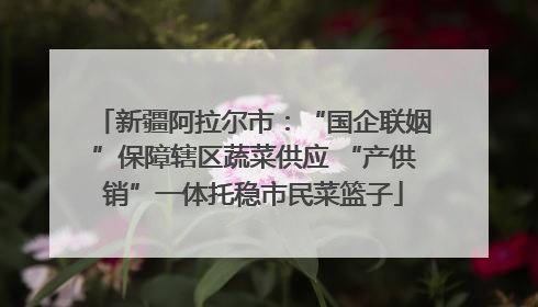 新疆阿拉尔市：“国企联姻”保障辖区蔬菜供应 “产供销”一体托稳市民菜篮子