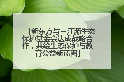 新东方与三江源生态保护基金会达成战略合作，共绘生态保护与教育公益新蓝图