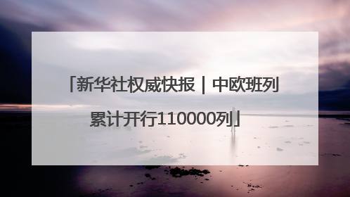 新华社权威快报｜中欧班列累计开行110000列
