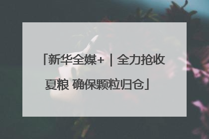 新华全媒+｜全力抢收夏粮 确保颗粒归仓