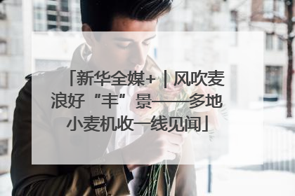 新华全媒+｜风吹麦浪好“丰”景——多地小麦机收一线见闻