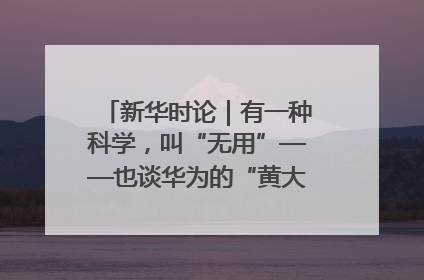 新华时论｜有一种科学，叫“无用”——也谈华为的“黄大年茶思屋”