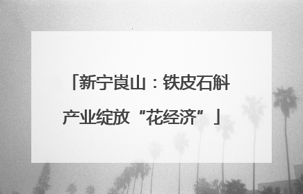 新宁崀山：铁皮石斛产业绽放“花经济”