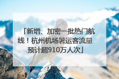 新增、加密一批热门航线！杭州机场暑运客流量预计超910万人次