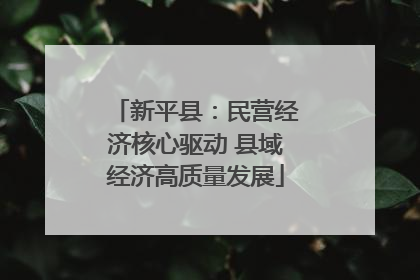 新平县：民营经济核心驱动 县域经济高质量发展