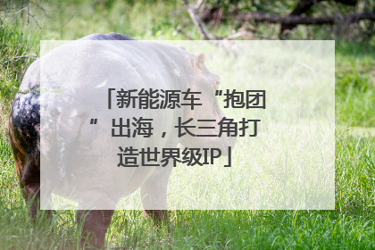 新能源车“抱团”出海，长三角打造世界级IP