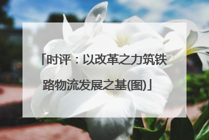 时评：以改革之力筑铁路物流发展之基(图)