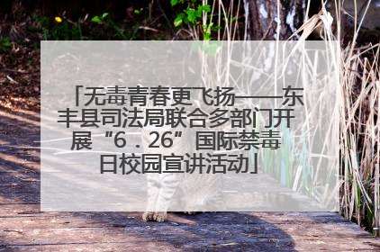 无毒青春更飞扬——东丰县司法局联合多部门开展“6．26”国际禁毒日校园宣讲活动