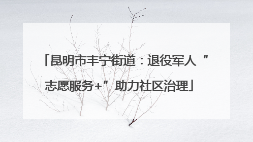 昆明市丰宁街道：退役军人“志愿服务+”助力社区治理