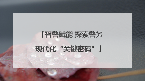 智警赋能 探索警务现代化“关键密码”