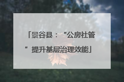 景谷县：“公房社管”提升基层治理效能