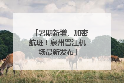 暑期新增、加密航班！泉州晋江机场最新发布