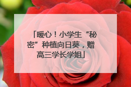 暖心！小学生“秘密”种植向日葵，赠高三学长学姐